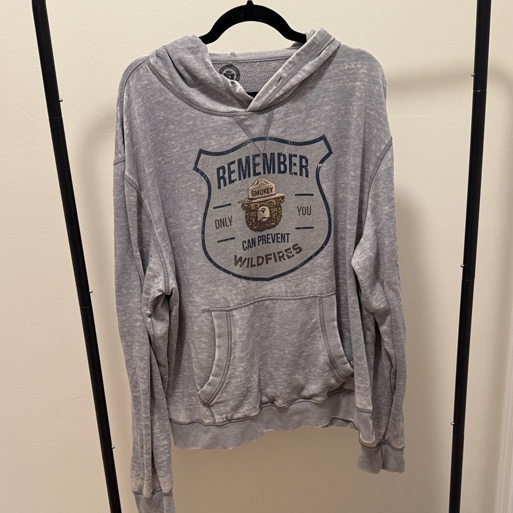 Disney Gray Hoodie Sweater